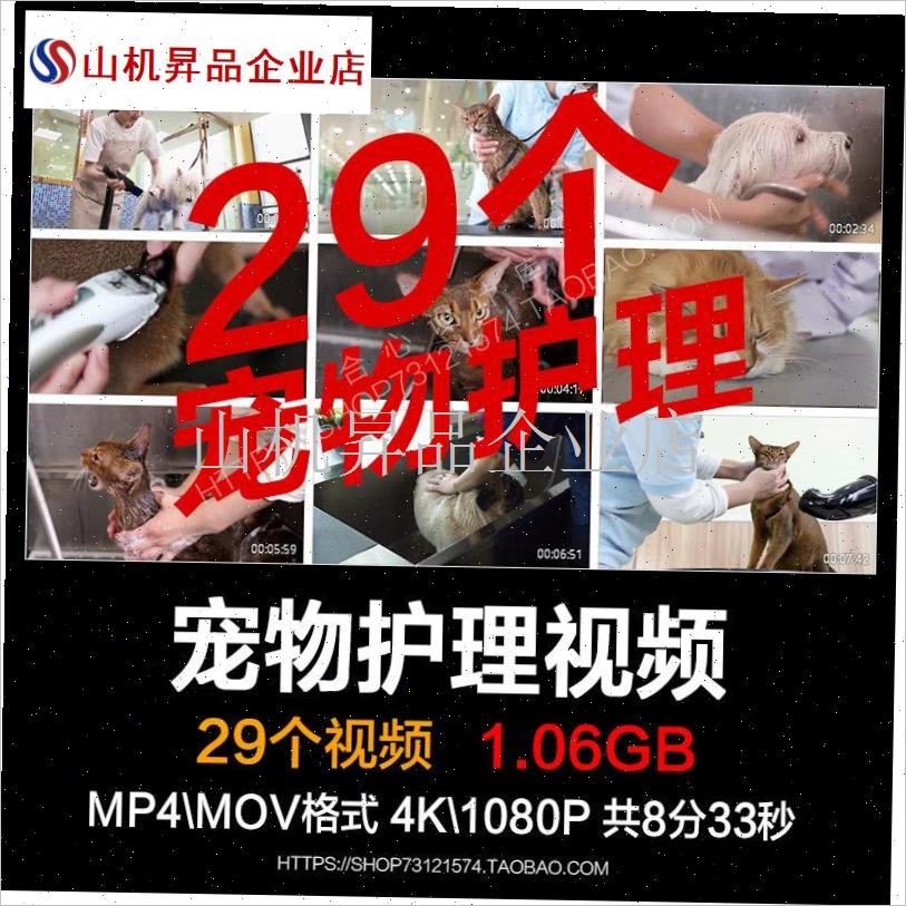 宠物猫狗护理美容清洁清洗清洁检查宠物医院X实拍视频素材.