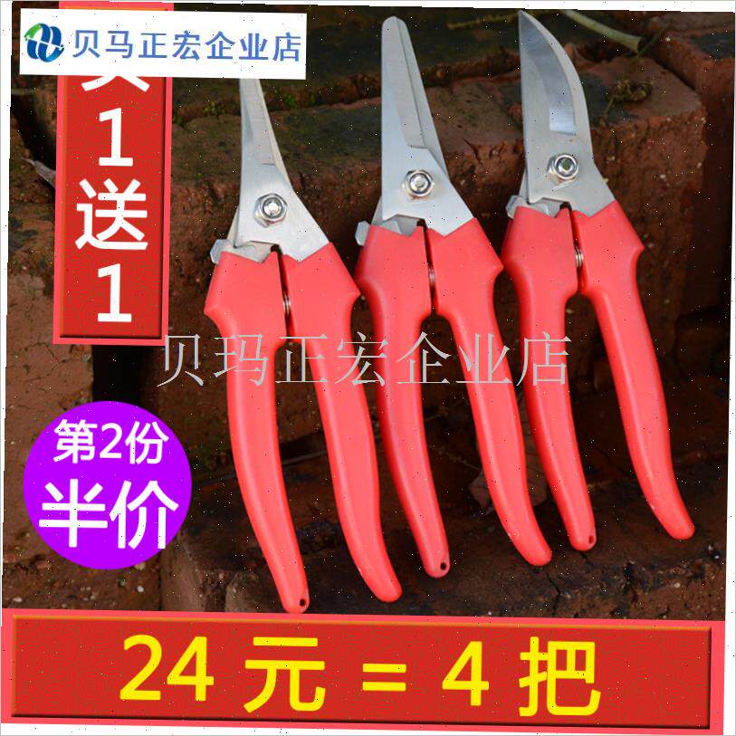 园艺剪刀 盆景多肉m花草强力x整枝F修理植物家用不锈钢 果园工具