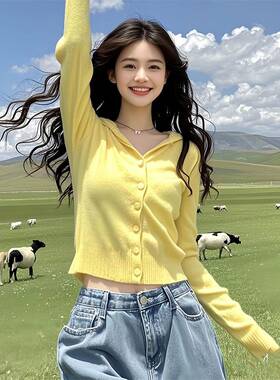 橙色短款连帽毛衣织开衫女装针20新25开xsc-1900春季晖款余风穿搭