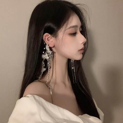 BXA春季蝴蝶长款流苏耳挂