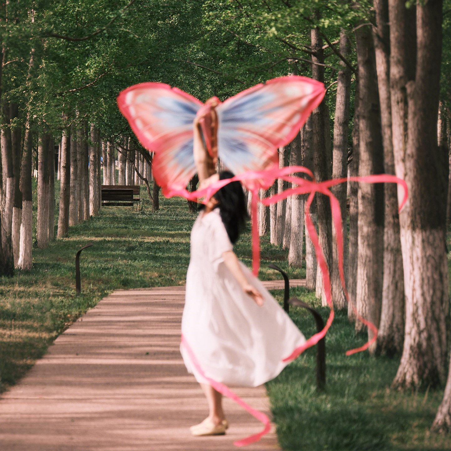 山东潍坊梦幻蝴蝶风筝儿童大人专用微风易飞中式纸鸢春游野餐拍照