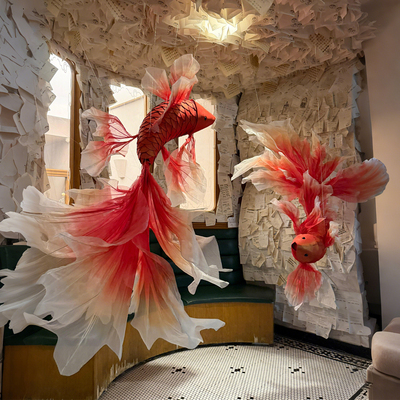 这对锦鲤才是今年的重头戏