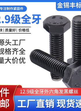 12.9级外六角全牙发黑螺丝M5M6M8M10M12M14M16M18M20M22M24-M36