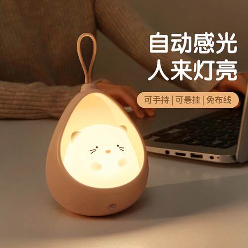 淘轩LD智能人体夜感应灯小灯玄关楼梯灯UESB充电夜灯创意45艺礼品