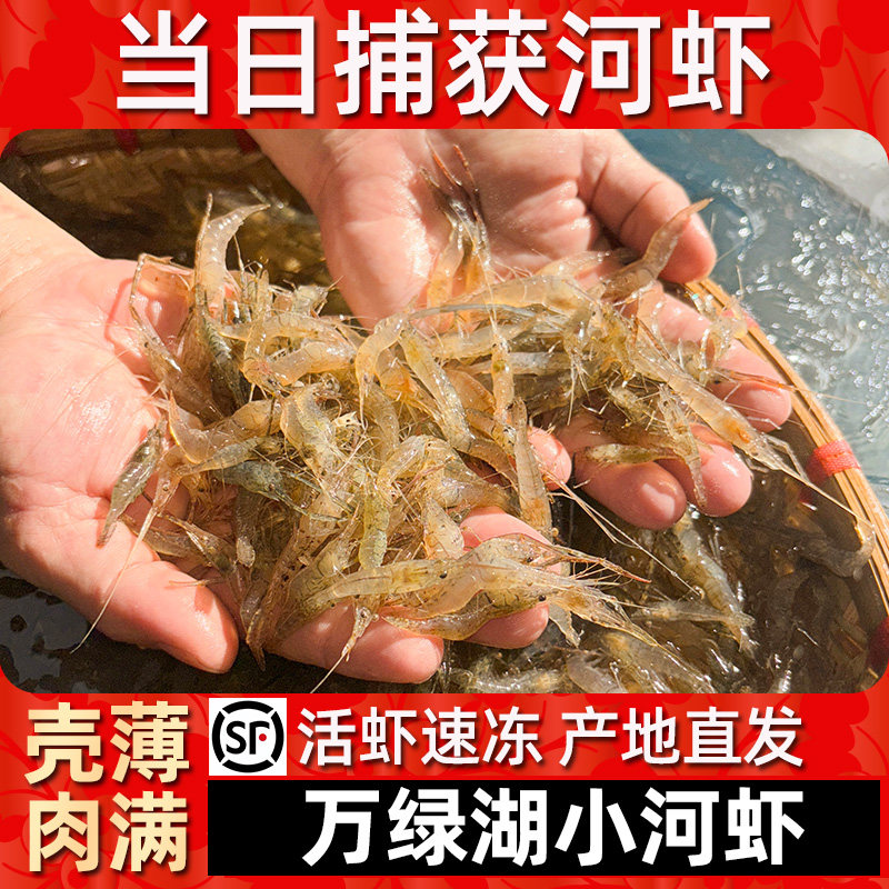【广东次日达】万绿湖河虾淡水新鲜鲜活青虾水产急冻草虾醉虾土虾 - 实物图