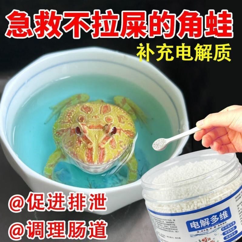 角蛙电解质泡澡促进排便调理肠道不进食蛙宠物维生素常备