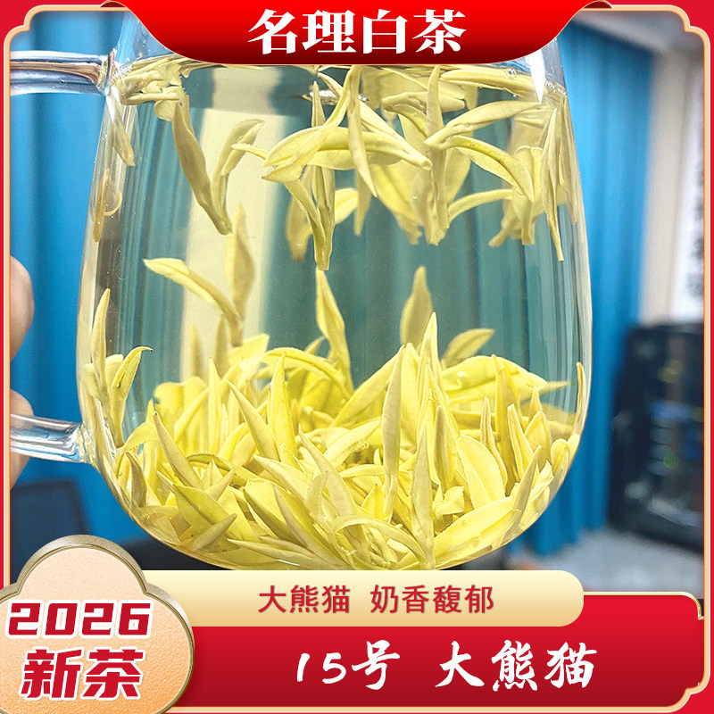 名理白大熊猫奶香黄金芽2026新茶图片