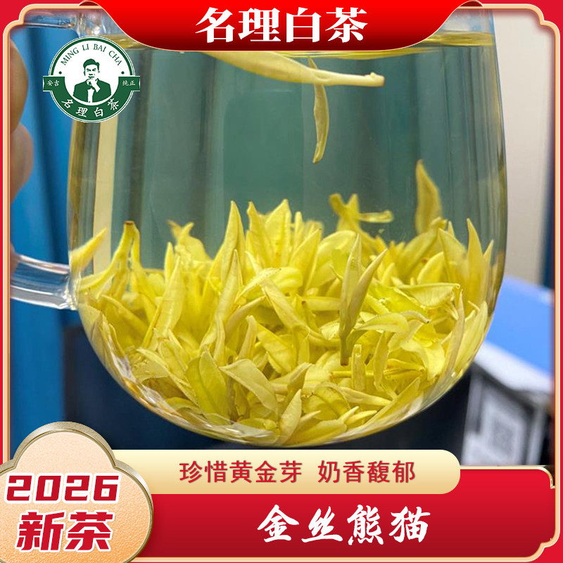 名理白金丝熊猫2026新茶图片