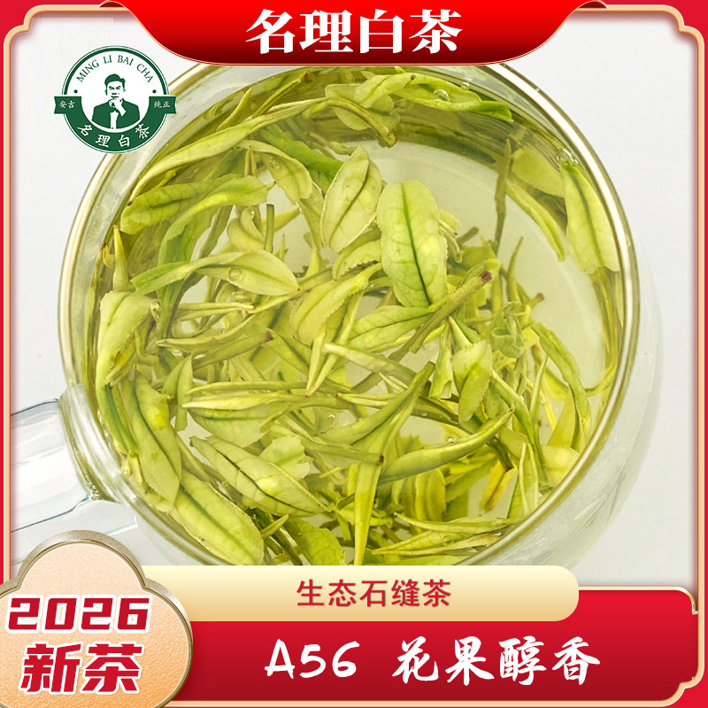 名理安吉白茶A56正宗安吉原产地图片