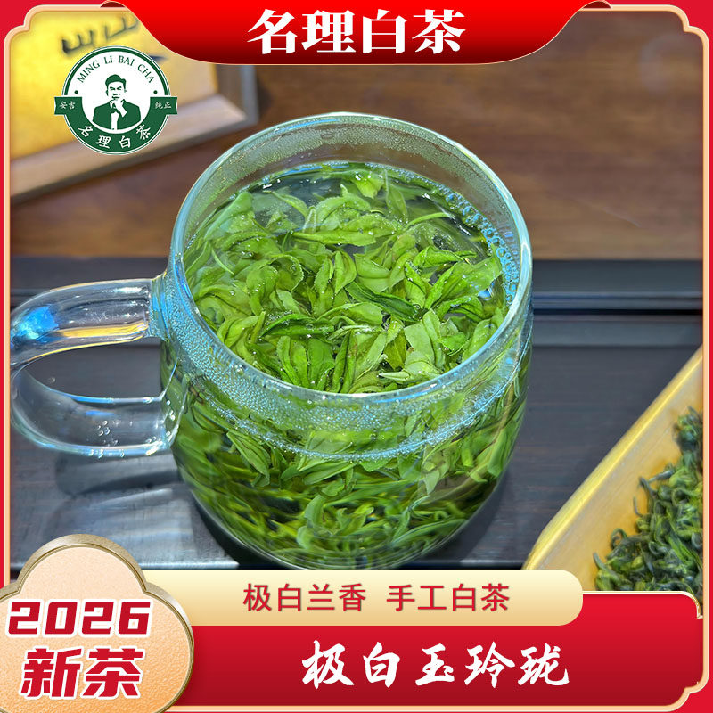 名理白茶极白玉玲珑手工白茶图片