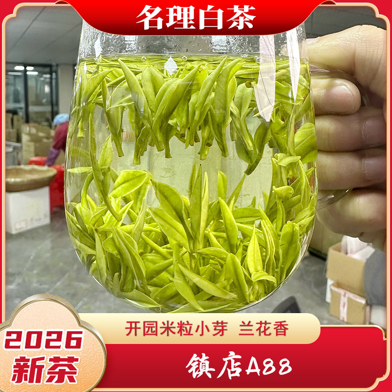名理白茶开园小芽正味兰花图片