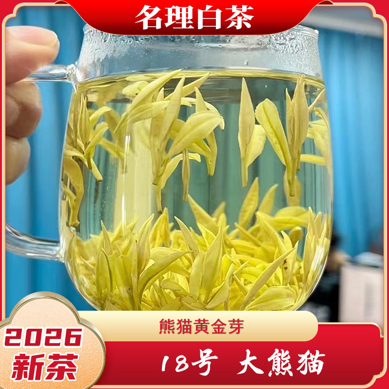 名理白大熊猫黄金芽2026新茶图片