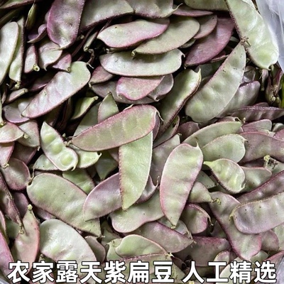 紫扁豆农家露天时令新鲜蔬菜南汇紫扁豆红扁豆扁豆角荚芸豆包邮