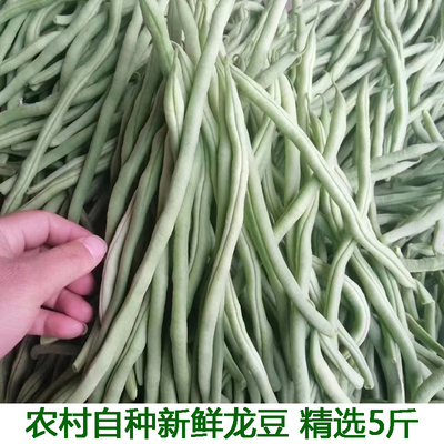 湖北农家自种豆角新鲜蔬菜蔬菜架豆王豆角无筋芸豆龙豆现摘现发