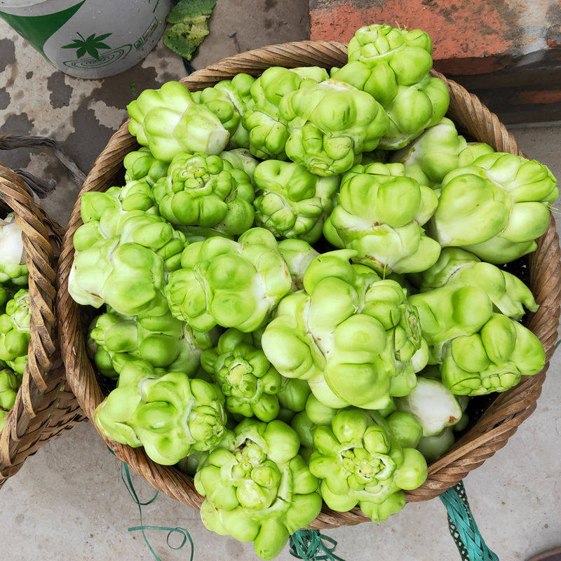 农家自种青菜头榨菜头