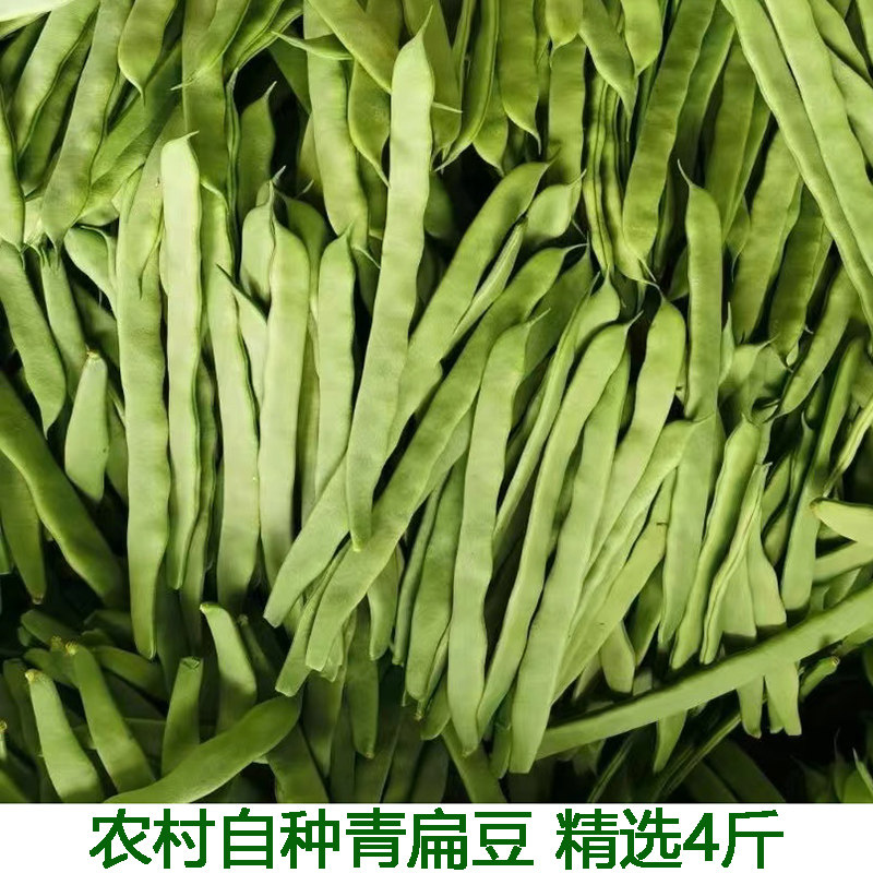 新鲜 露天青扁豆刀豆四季豆芸豆豆角新鲜应季蔬菜5斤包邮豌豆