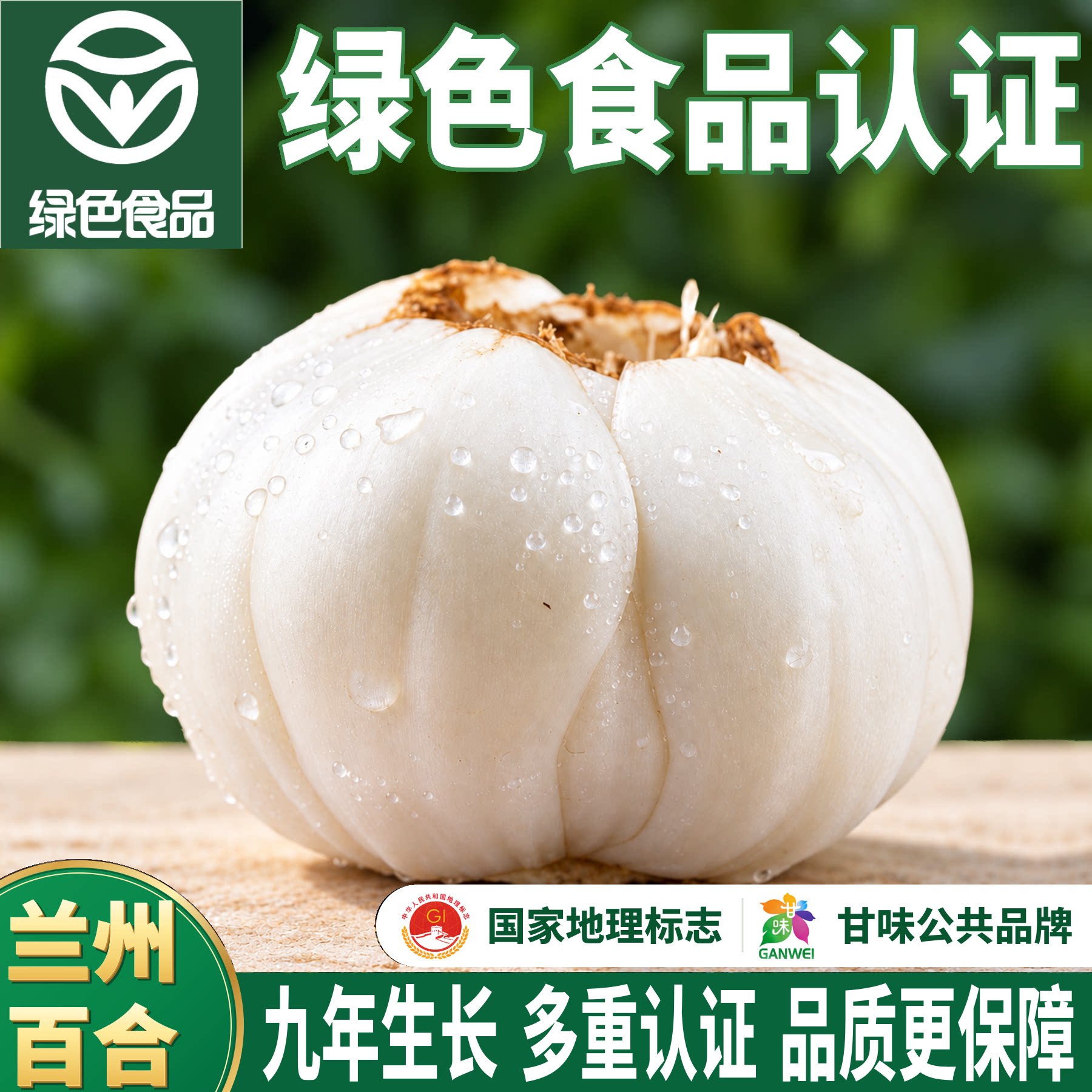 【绿色食品认证】兰州新鲜百合500g食用甜百合生百合甘肃特产大果