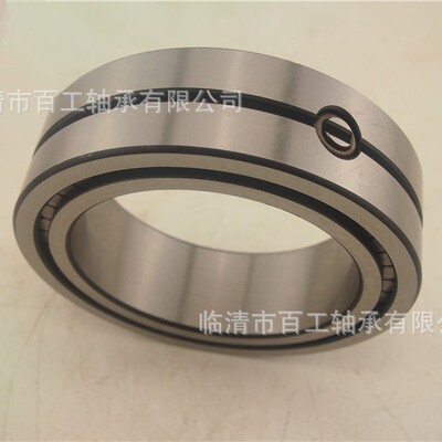 满装圆柱滚子轴承SL04 NNF 50 1 0 1 2 3 4 5 6 7 8 9 PP ADA-2LS
