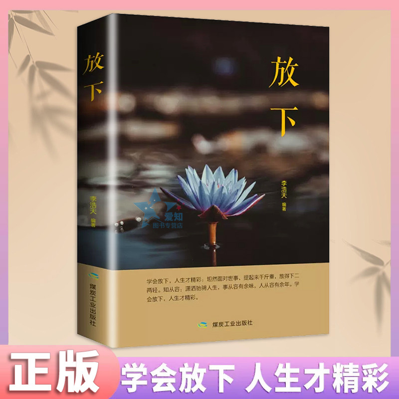 放下书籍 人生哲学通俗读物不抱怨的爱上生命中的青春励志书籍书做心灵鸡汤正能量心态哲学哲理书籍