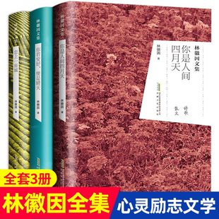 当代现代散文青春文学畅销小说诗集随笔 恋上一座城 你若安好便是晴天 林徽因文集3册全集 林徽因 你是人间四月天 书籍珍藏