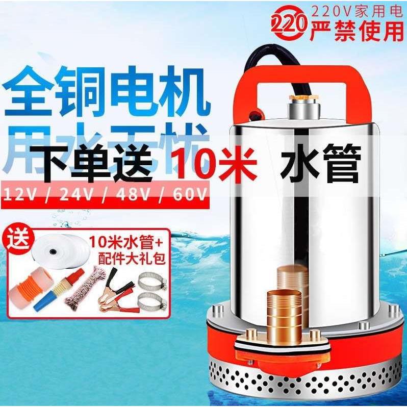 德国进口直流潜水泵12V24V48V60V伏家用电瓶车抽水泵小型电动车农