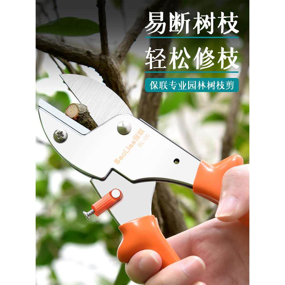 园艺剪刀剪树枝专用剪刀果树修枝剪花艺省力剪花修剪树枝花剪枝剪图片