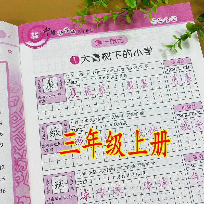 练习3年级上学期硬笔书法训练笔画结构拼音组词近义词形近字钢笔字帖