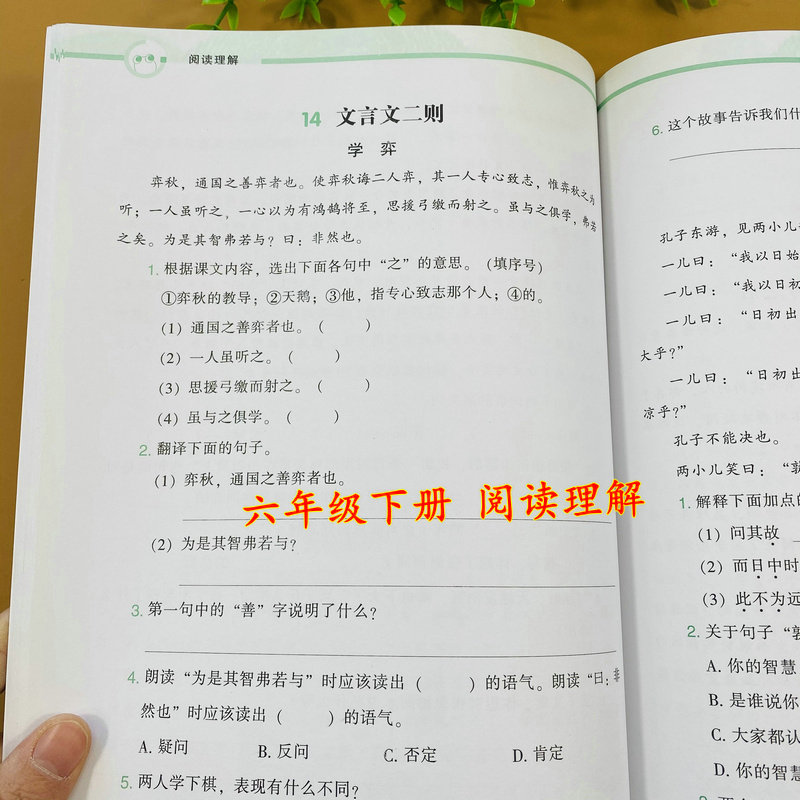 小学六年级下册语文阅读理解同步练习课内阅读+课外阅读专项练习题注音版人教部编版课本同步阅读课文阅读训练测试题6年级下学期用