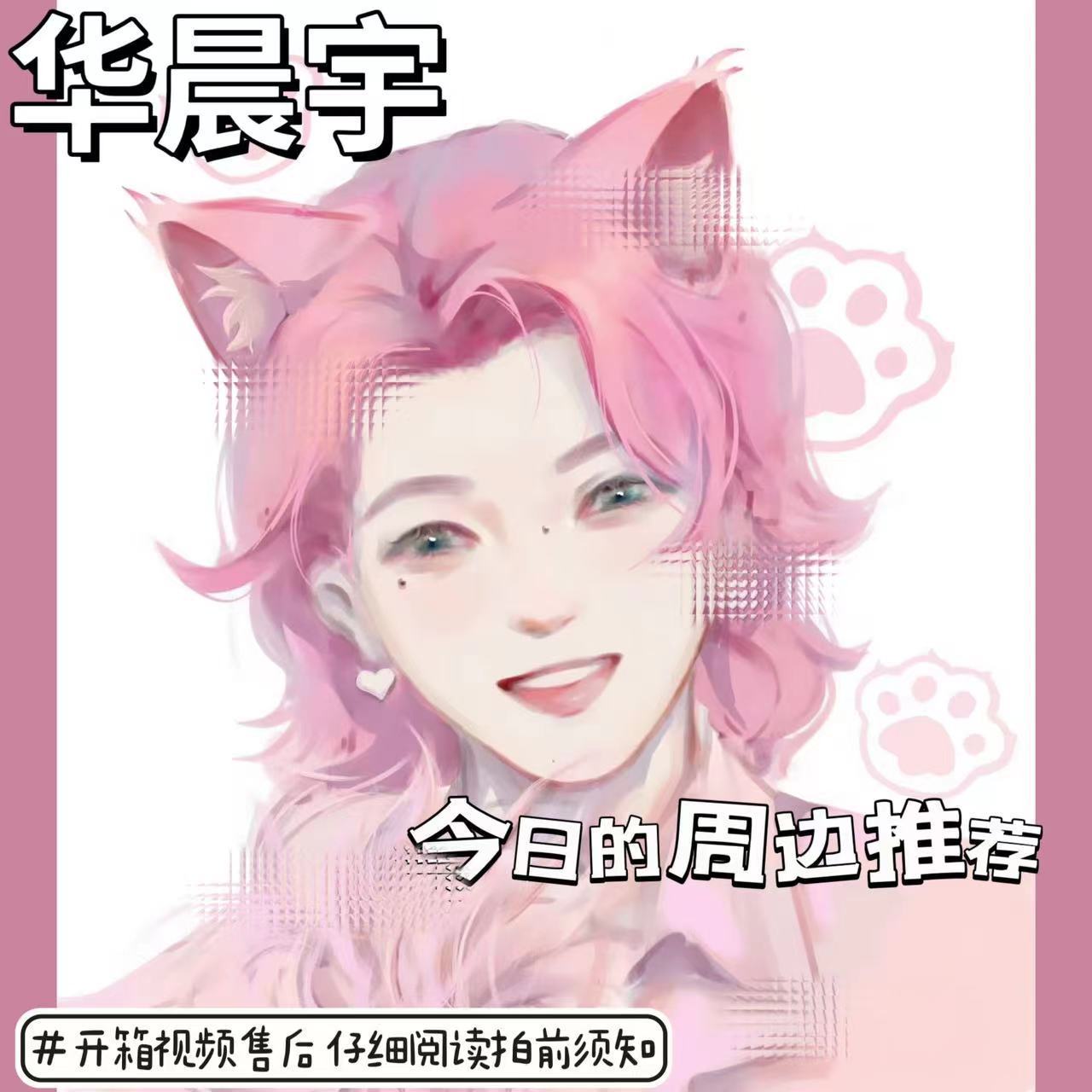 华晨宇演唱会粉发花花set饭制手绘高颜值新款亚克力立牌diy周边