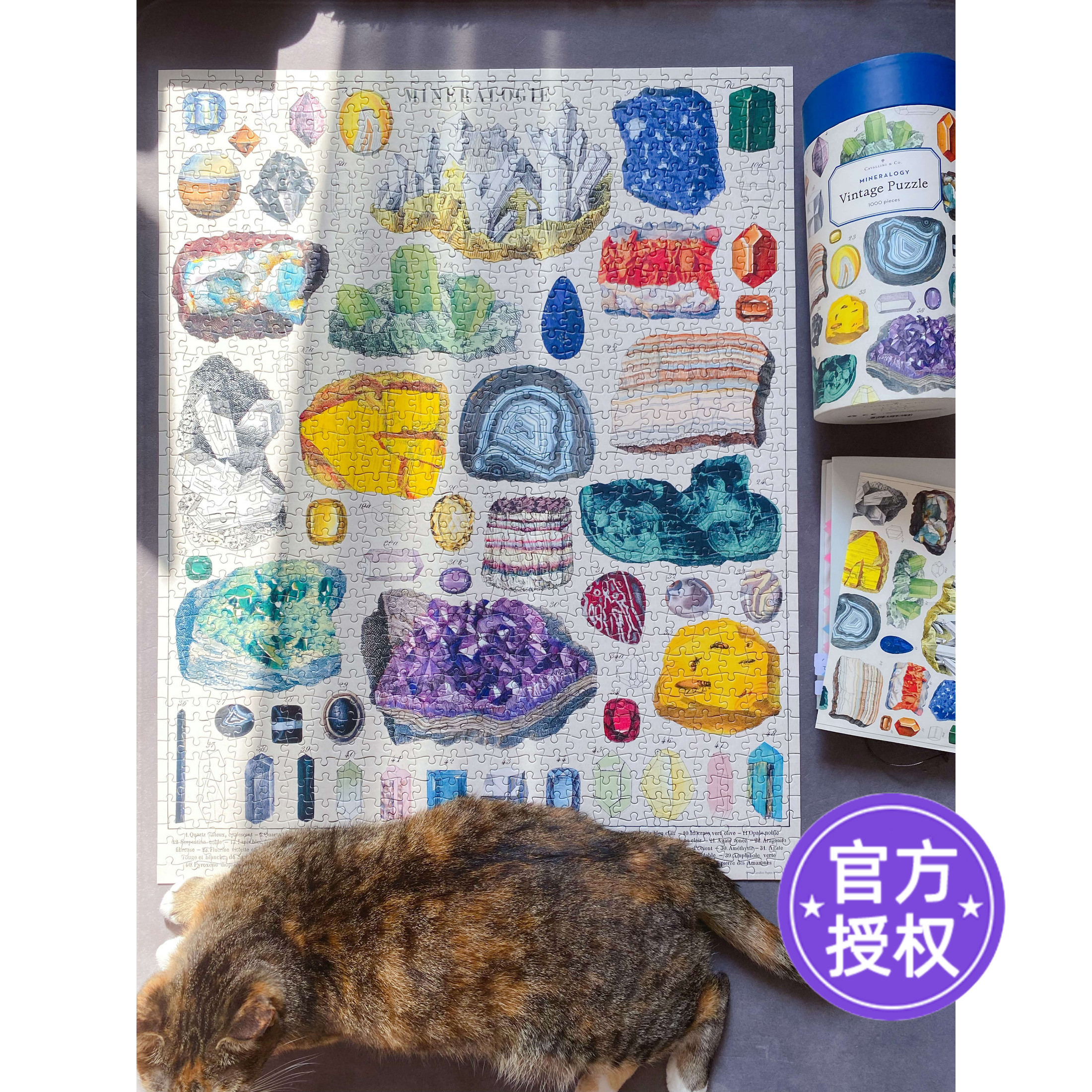 Cavallini拼图1000片矿物学