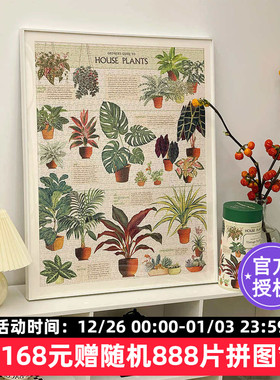 Cavallini拼图1000片美国进口美式复古成人益智玩具治愈裱框盆栽