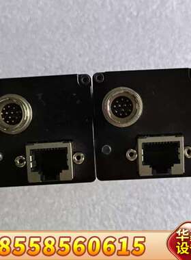 工业相机  eco815CTLGEC 限，先到先