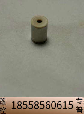 沃特世2695单向阀，100%用289000144 。