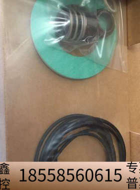 DP PUMP VF10 SEALKIT GARNITU.议价