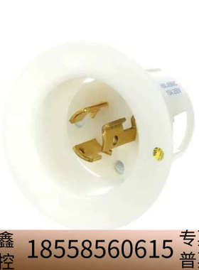 HUBBELL HBL4586C 电源插头