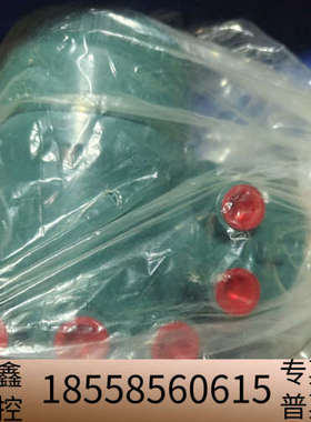 横河流量计分体表头AXW4A-CNF2111JA12/CH.议价