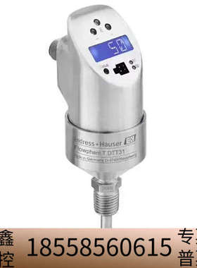 Flowphant DTT31-A1B111AE2AAB.议价