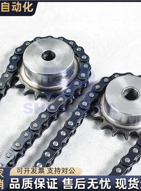 链条VMF01 21-40-4 8 10 20 30 40 50 60 70 80 100 110 120-A