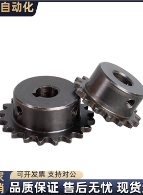 BSP60链轮SP60B21/22-N-20 22 24 25 28 30 32 35 38 40 42 45 50