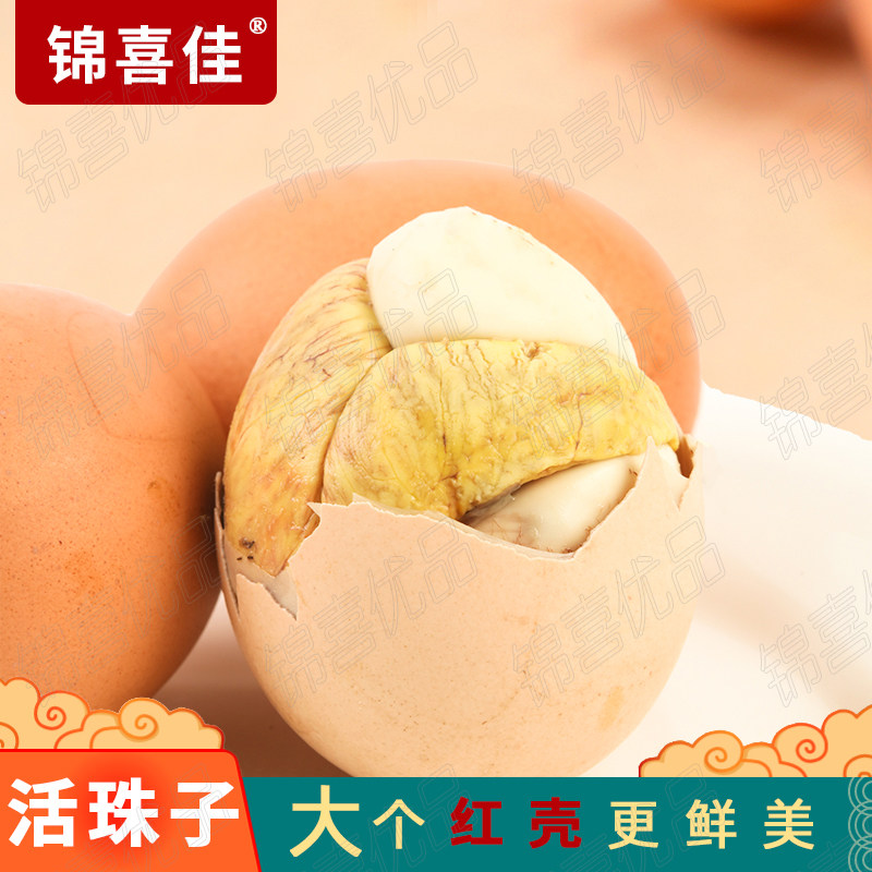 【锦喜佳】活珠子新鲜13天五香味山东开袋即食香辣鸡蛋毛蛋钢化蛋,水产肉类/新鲜蔬果/熟食,活珠子/毛胚蛋,淘宝优惠券,粉丝福利购,淘宝优惠卷