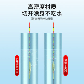 鱼漂套装全套套装加粗醒目纳米浮漂正品鲫鱼漂高灵敏夜光漂盒浮标