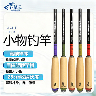 新款 全套钓鱼竿 小物竿溪流竿迷你便携微物手竿儿童鱼竿初学者套装