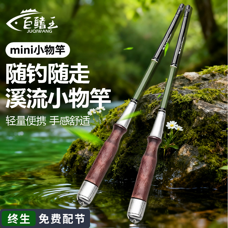 小物竿儿童鱼竿套装短节便携手竿