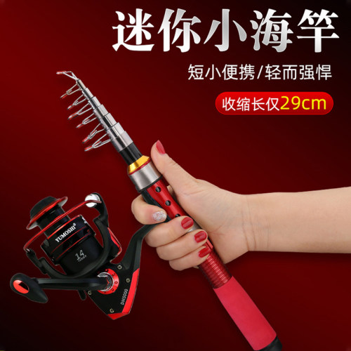 迷你小海竿抛竿超短节鱼竿