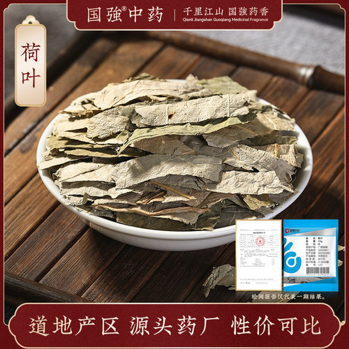 荷叶10g小袋中药饮片药厂直销