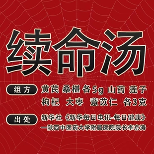 国强 续命汤 中药材黄芪山药红莲子薏苡仁独立小袋中药饮片养生茶