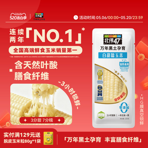 北纬47黑龙江白糯玉米