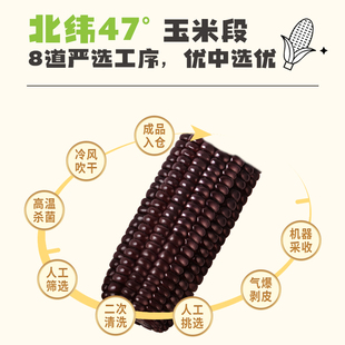 北纬47度黑糯玉米段1.4kg营养粗粮含花青素真空装东北新鲜糯玉米
