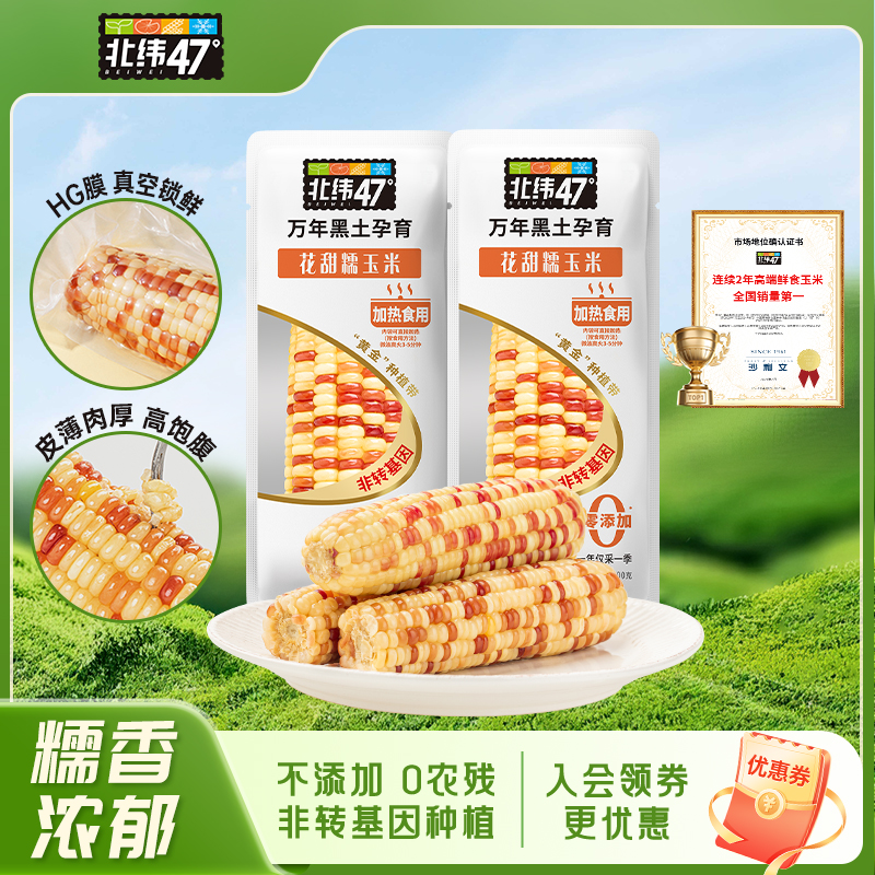 黑龙江产地花甜糯鲜食玉米