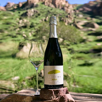 国货之光宁夏起泡酒高分推荐